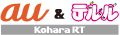 bottom-logo