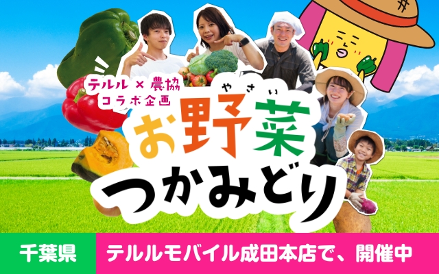 おやさいつかみどり