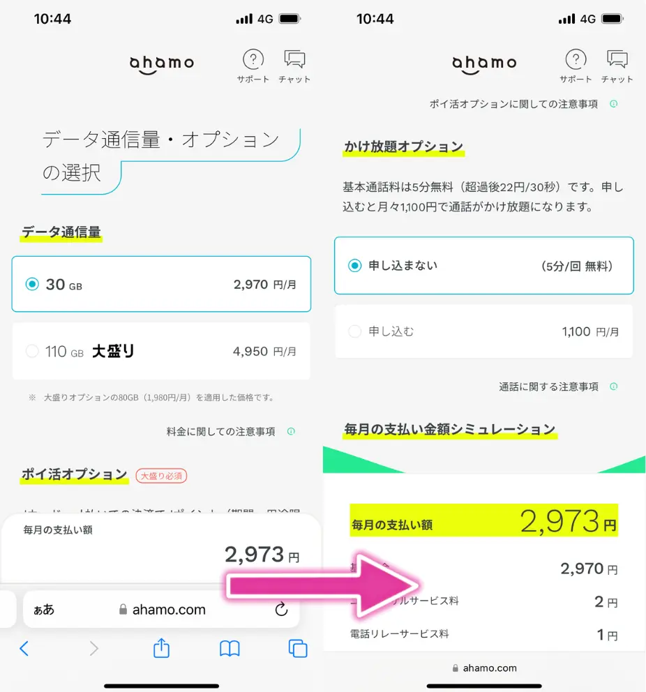 データ通信量と各種オプションを選択して次へ