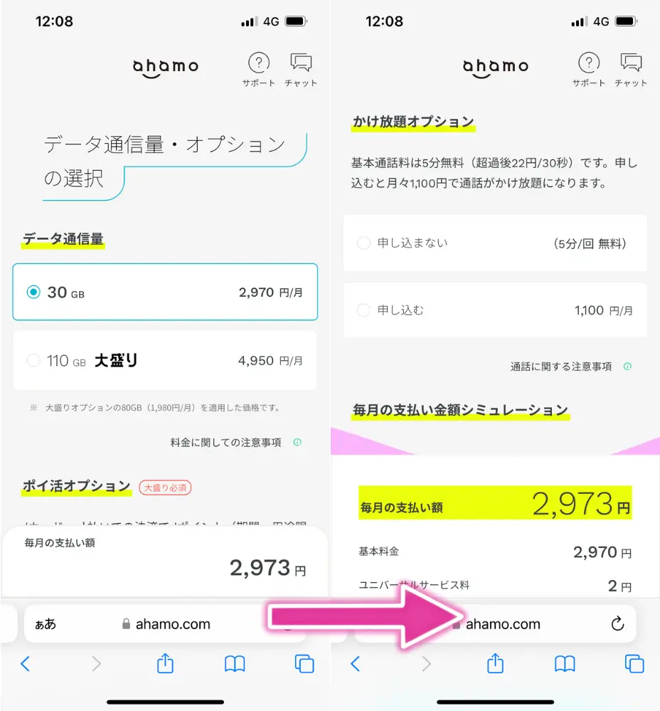 データ通信量とオプションサービスを選択して次へ