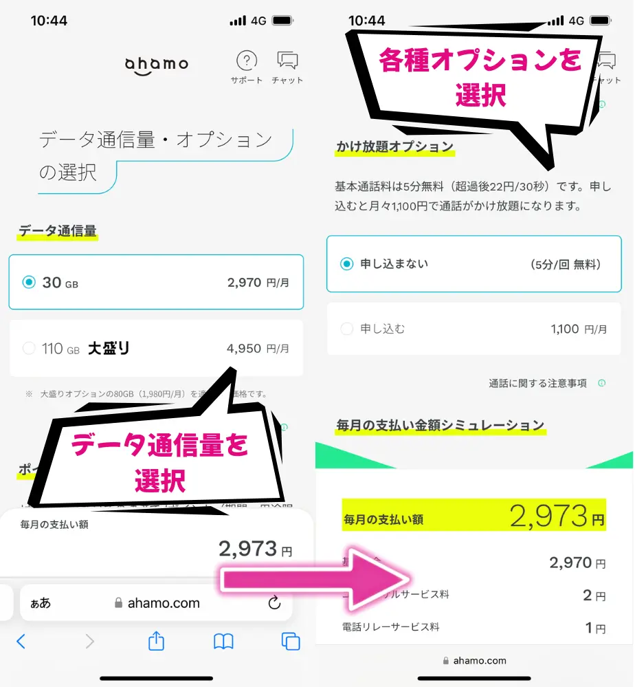 データ通信量と各種オプションを選択して次へ