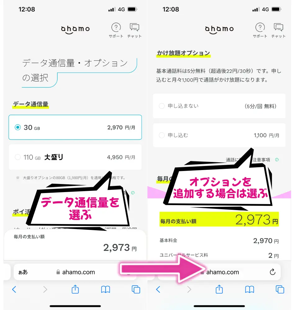 データ通信量とオプションサービスを選択して次へ