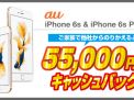 sale_info_01