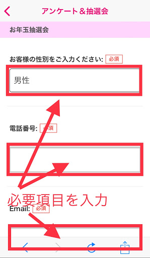 入力項目