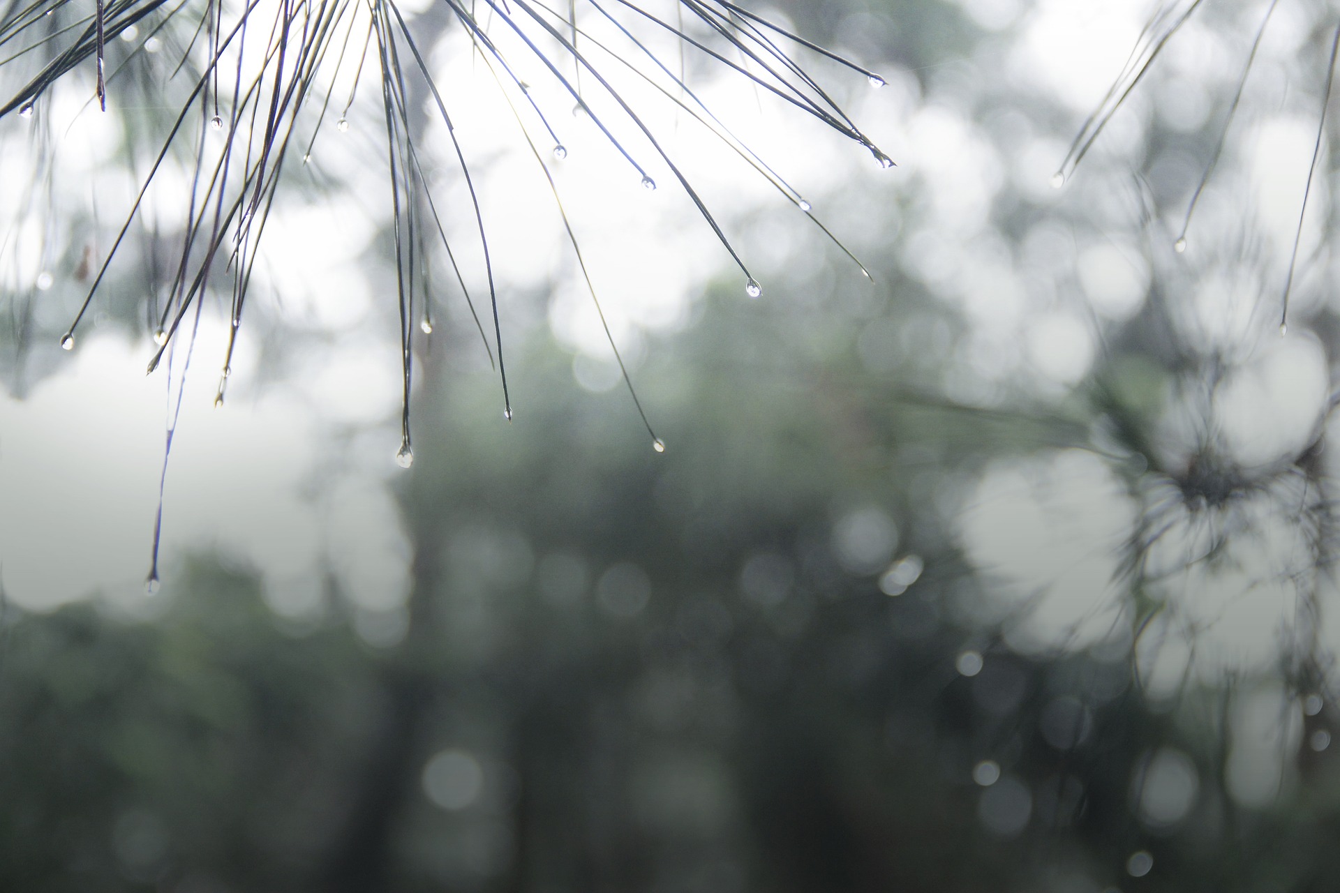 じめじめした梅雨を快適に過ごせる！おすすめアプリを紹介1