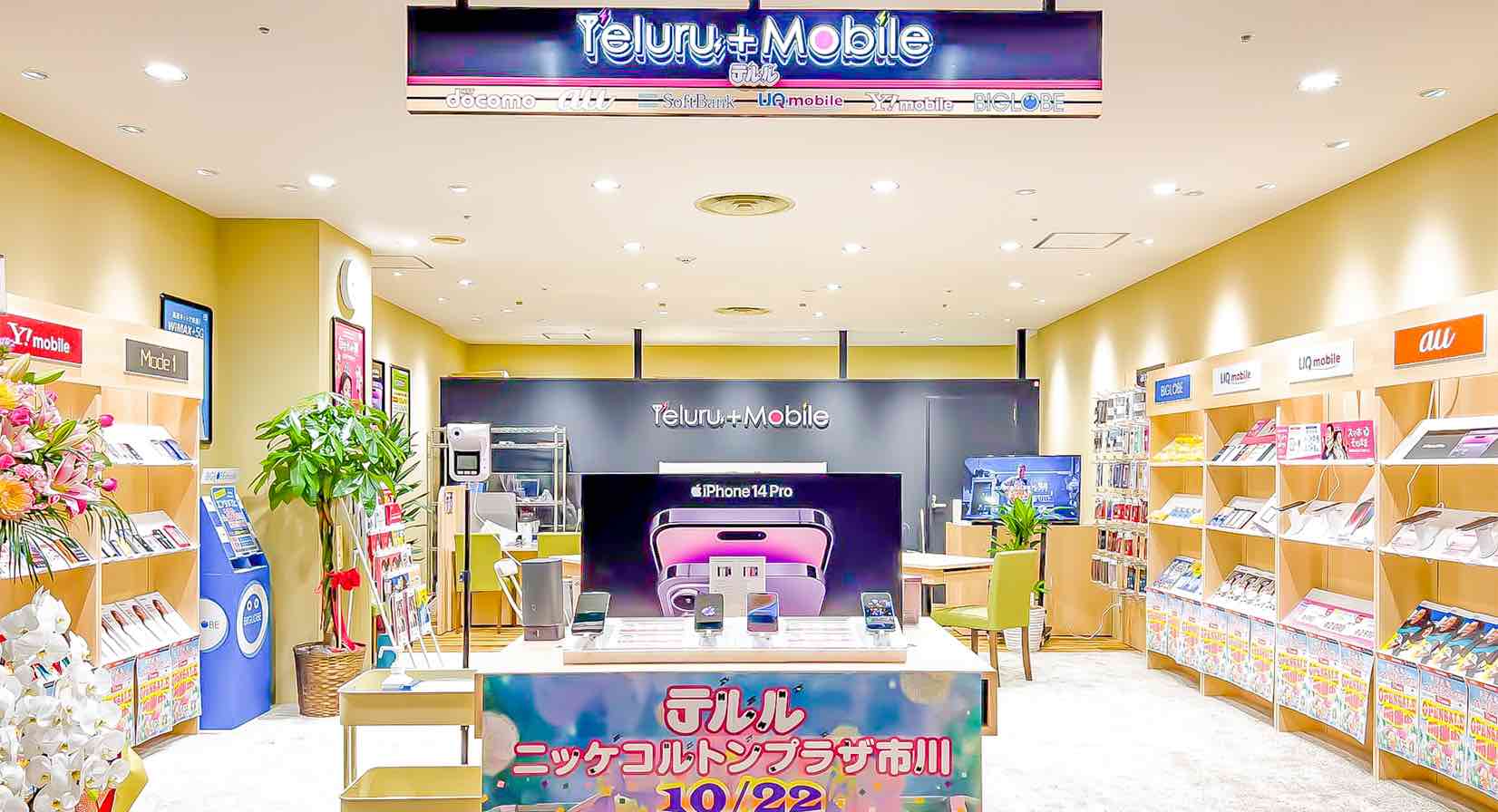 テルルニッケコルトンプラザ市川店